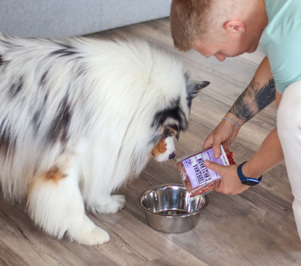LAIKY — питание для собак нового поколения по системе BARF