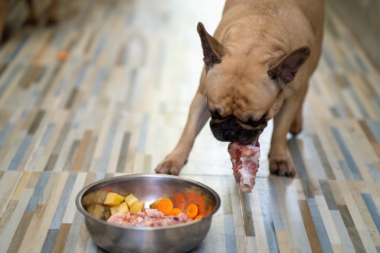 Можно кормить собаку сырым мясом